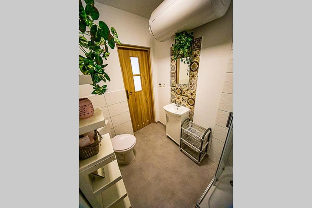 Apartament Rynek レシナ エクステリア 写真